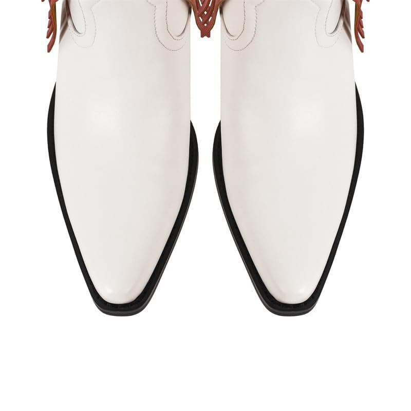 Richealnana Women's Calf High Tassel Fringe Cowgirls Boots Multicolor