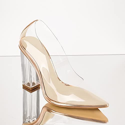 Women's Clear Pointed Toe Pumps